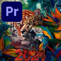 Adobe Premiere Pro 2024　日本語版　ダウンロード版　永続版