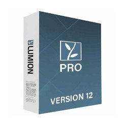 Lumion Pro 12.5 windows ダウンロード版　永続版