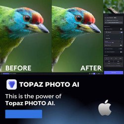 Topaz Photo AI for Mac (人工知能ノイズ低減ソフトウェア) v2.3.1